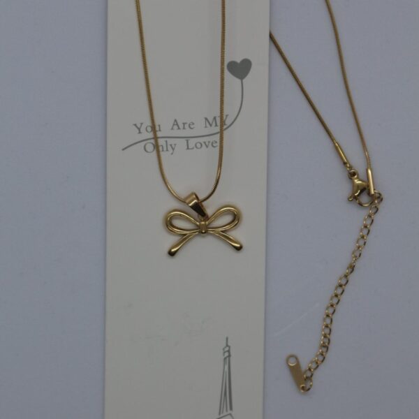 AW KOLYE ÇELİK AW65-1