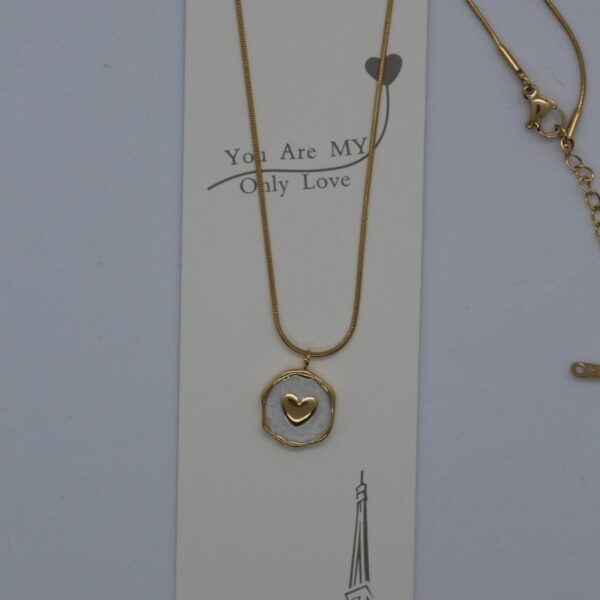 AW KOLYE ÇELİK AW65-12