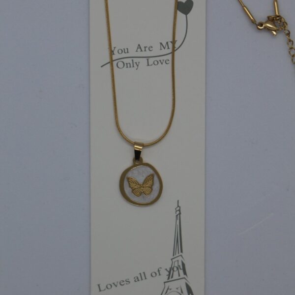 AW KOLYE ÇELİK AW65-2